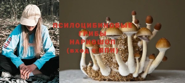 круглые Армянск